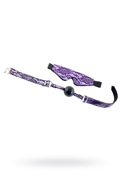 Набор кружевной TOYFA Marcus, пурпурный: маска и кляп